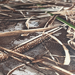 Realtree™ Total Max-7